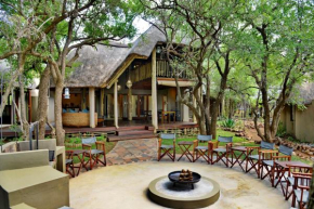  Tambuti Lodge  Pilanesberg National Park